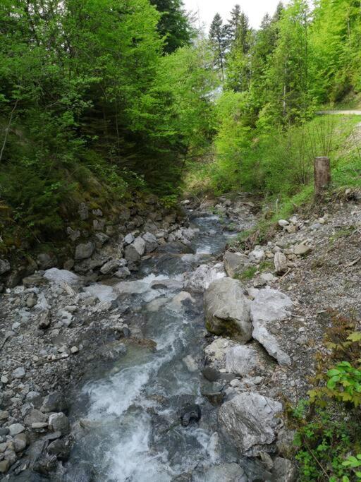 Forest View Apartment In Leissigen By Interlaken With No Kitchen Екстериор снимка